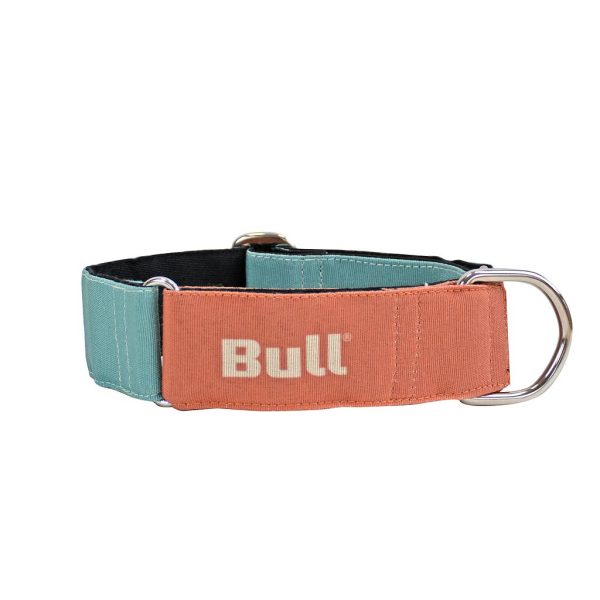 BULL COLLAR GALGO NARANJA-TURQUESA (T-M  30-50 CM APROX)