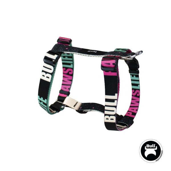 BULL ARNÊS NYLON COLEÇÃO PAWS LIFE (T-4 42-70 x 2,5 CM..)
