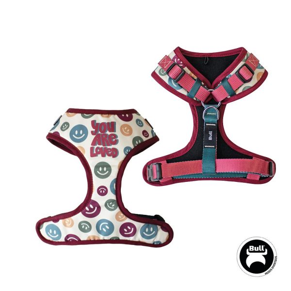 BULL ARNÊS AJUSTÁVEL FUN WALK  (T-S (PESCOÇO 28-38 CM)(PEITO 38-52 CM))