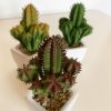 PACK 12 CACTOS ARTIFICIAIS COM VASO DE CERÂMICA - SORTIDOS - Image 3