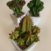 PACK 12 CACTOS ARTIFICIAIS COM VASO DE CERÂMICA - SORTIDOS - Image 4