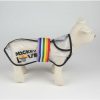 CAPA DE CHUVA AJUSTÁVEL PARA CÃO M DISNEY PRIDE PRETO - Image 4