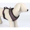 ARNÊS PREMIUM PARA CÃO M/L DEADPOOL PRETO - Image 4
