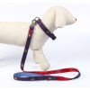 TRELA PREMIUM PARA CÃES S DC PETS AZUL - Image 3