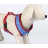 ARNÊS PREMIUM PARA CÃES XXS/XS DC PETS AZUL - Image 4