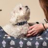 COLEIRA PREMIUM PARA CÃES XS/S DISNEY VILÃS CINZA - Image 5