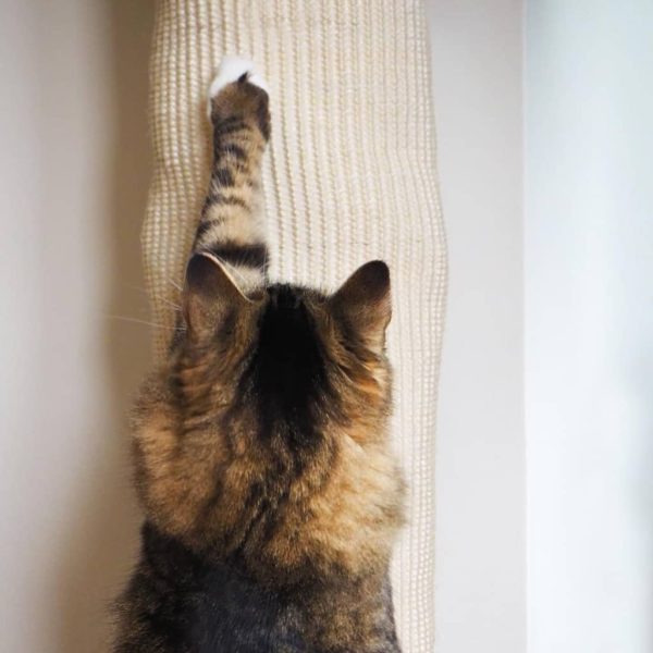 Quapas! Saco trepador p/ gatos 180 cm sisal - Image 5