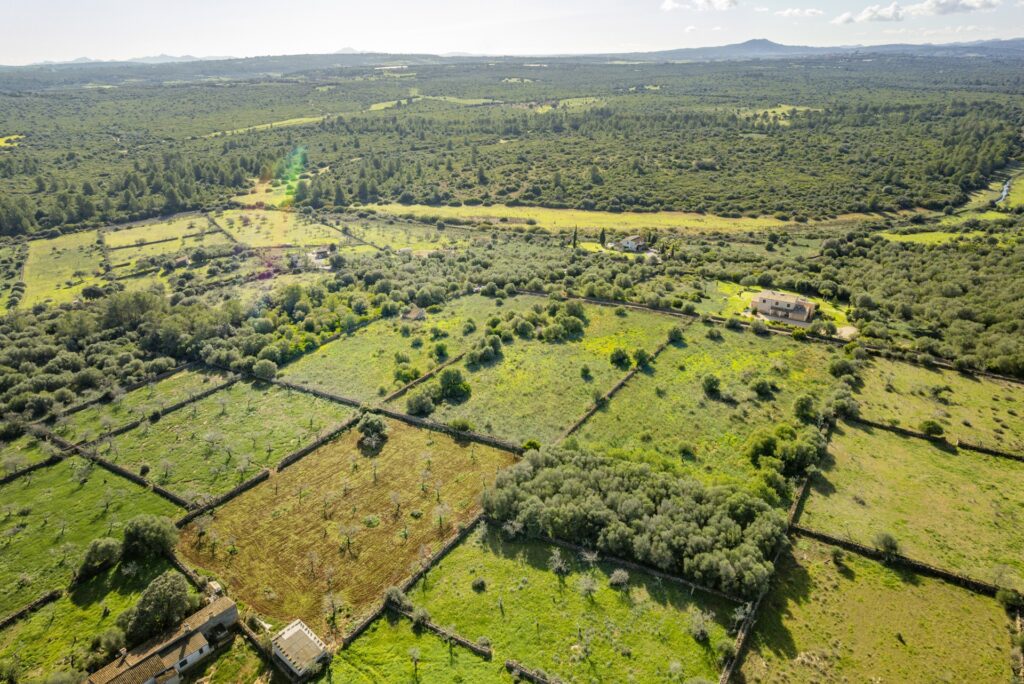 Plot for sale in Santa Margalida