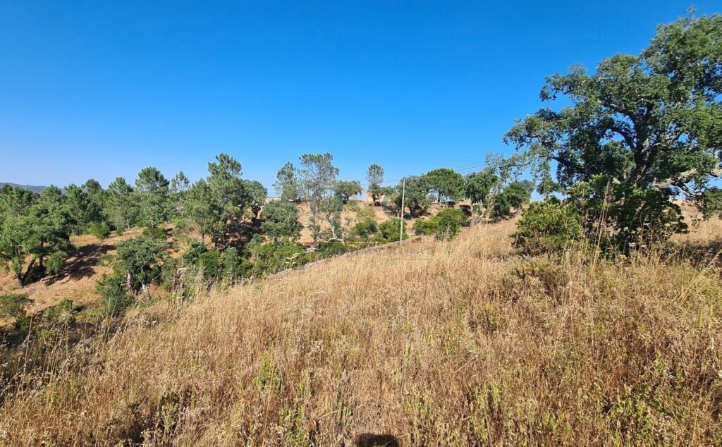 plot for Sale in são brás de alportel