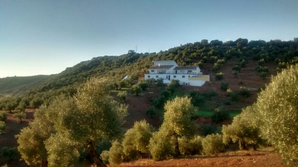 villa for sale in montoro