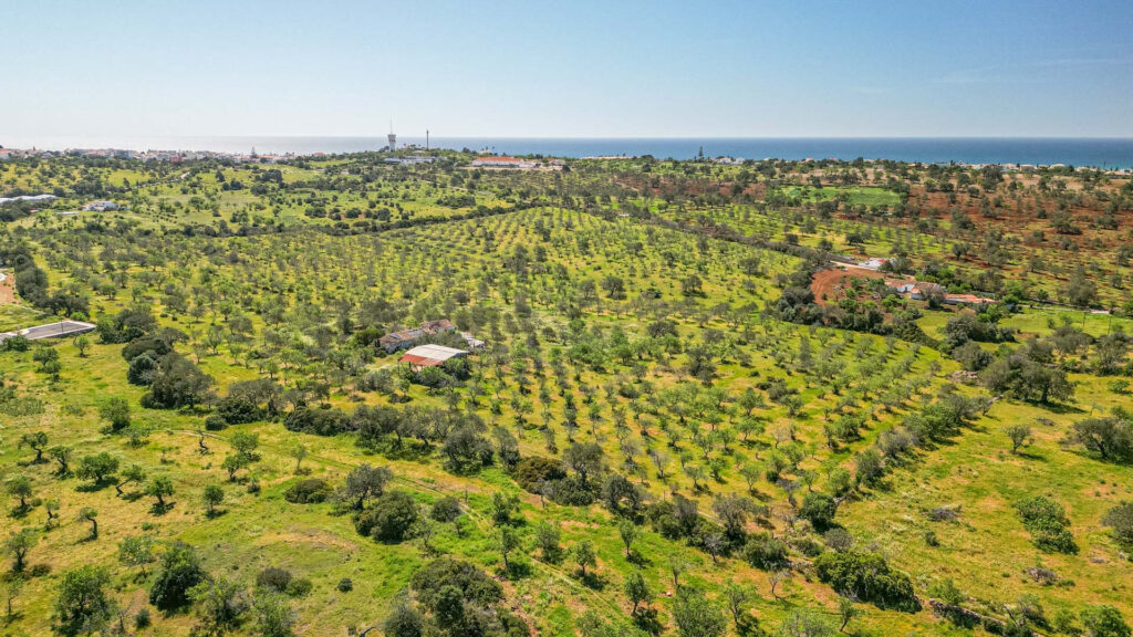 Plot for sale in albufeira