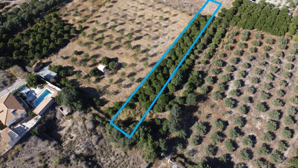 plot for Sales in cantoria