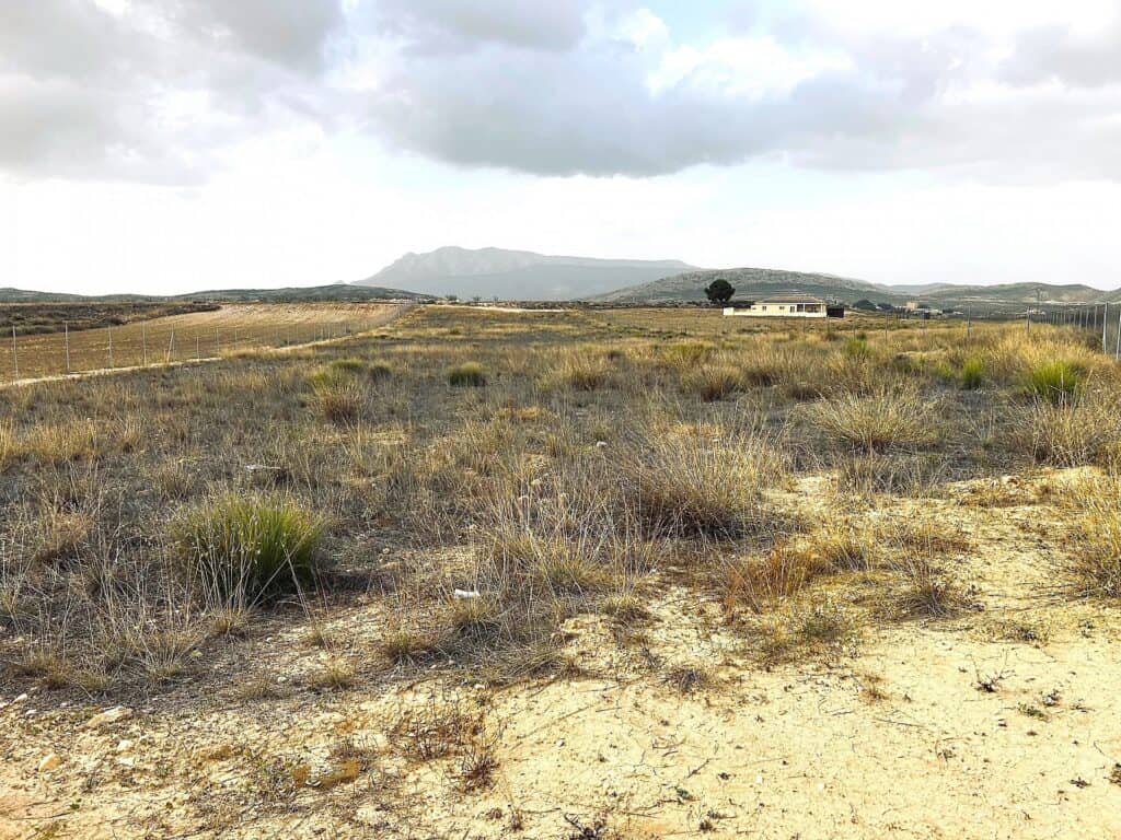 Plot for Sales in torre del rico