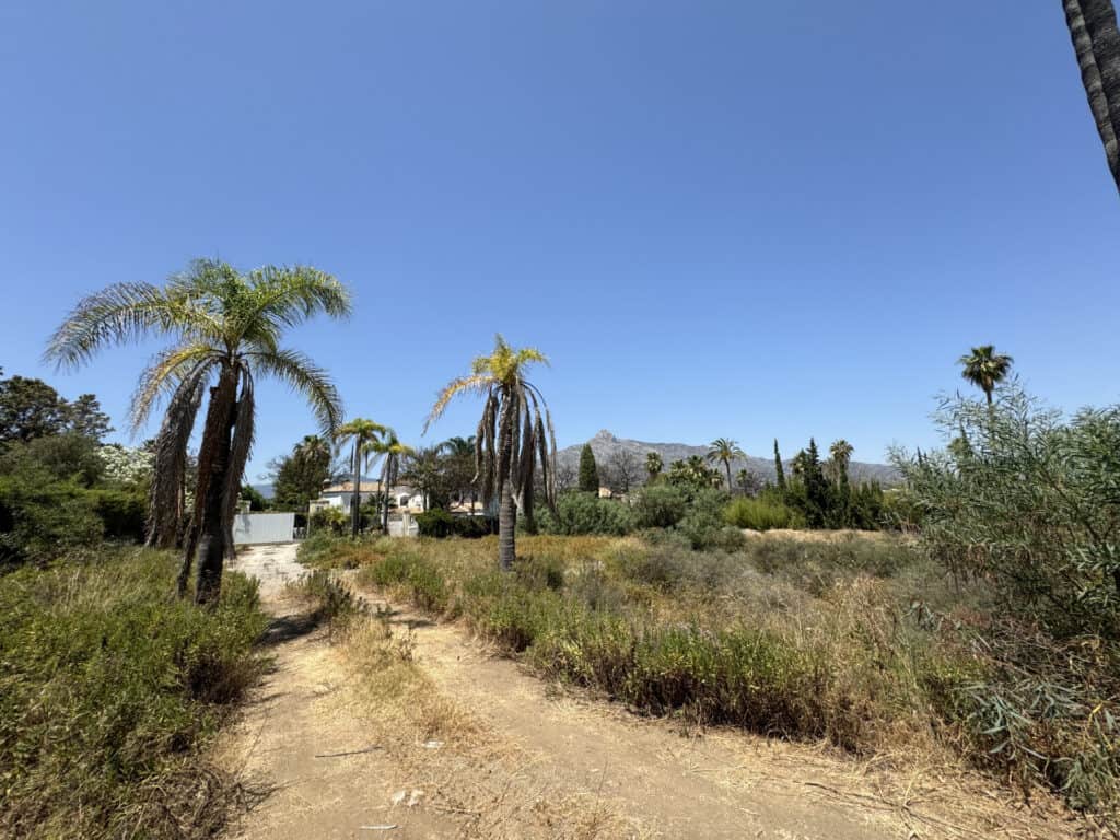 plot for Sales in marbella