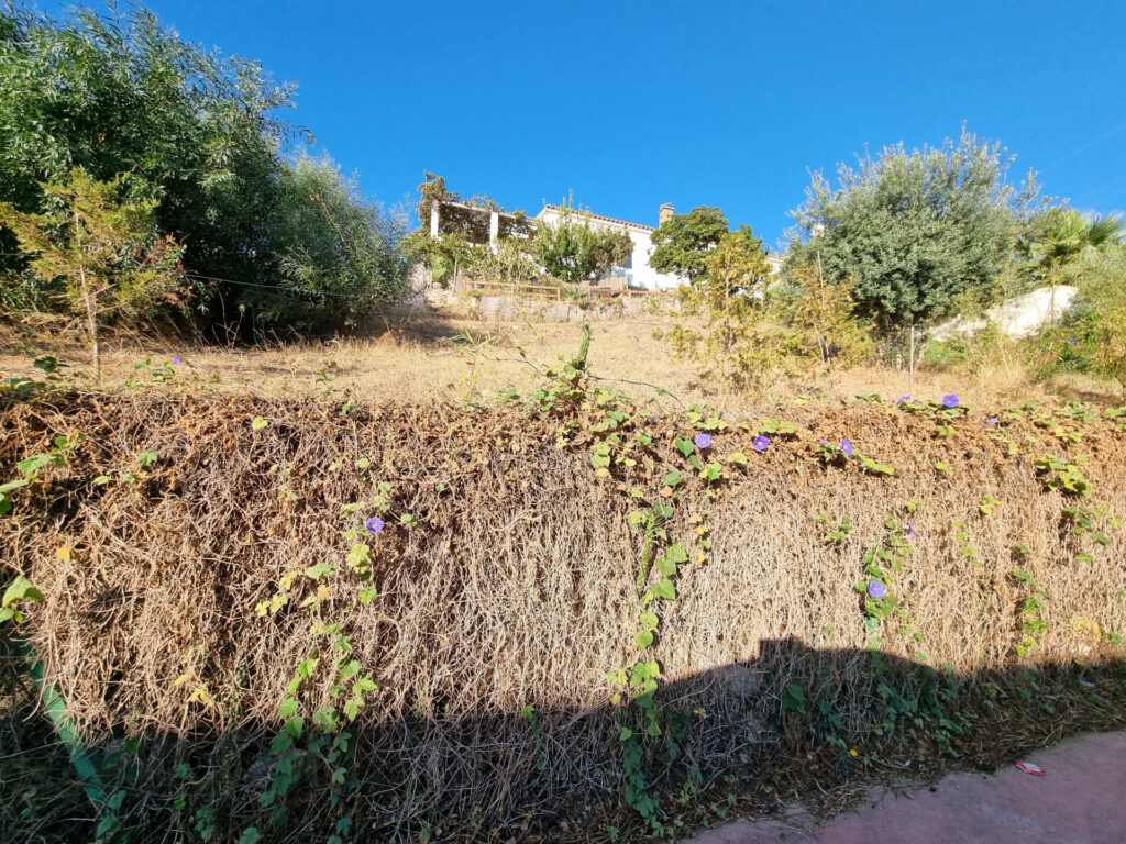 plot in Fuengirola