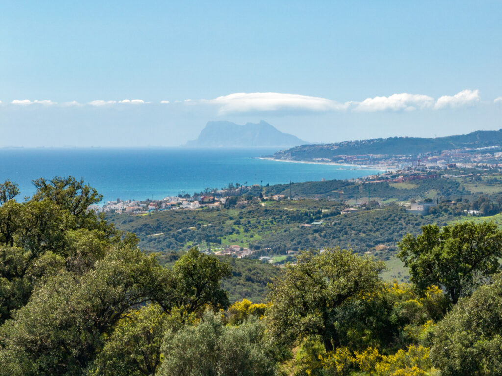 plot in Estepona