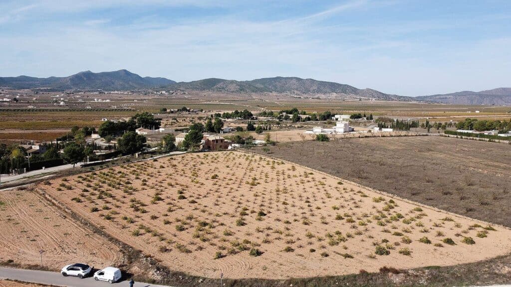 Plot for Sales in pinoso