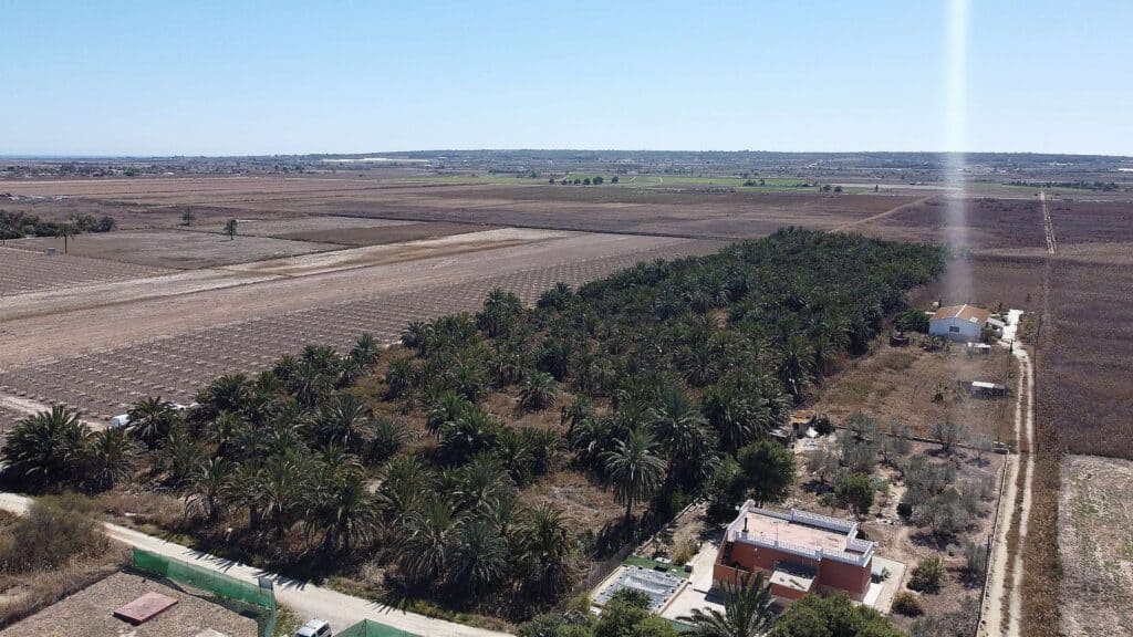 Plot for Sales in elche