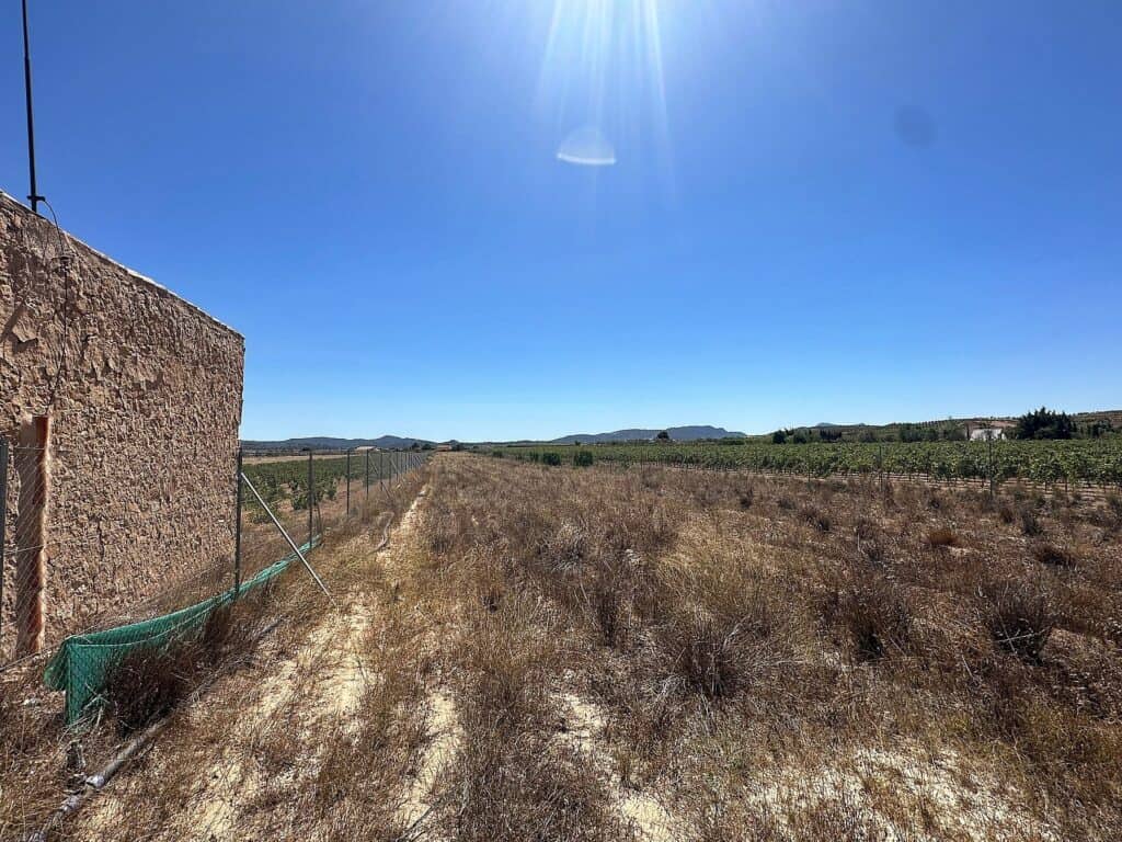 Plot for Sales in pinoso