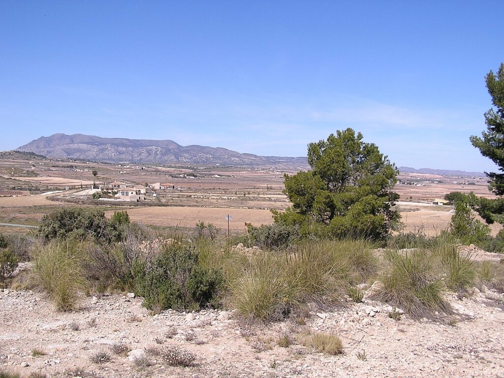 Plot for Sales in pinoso