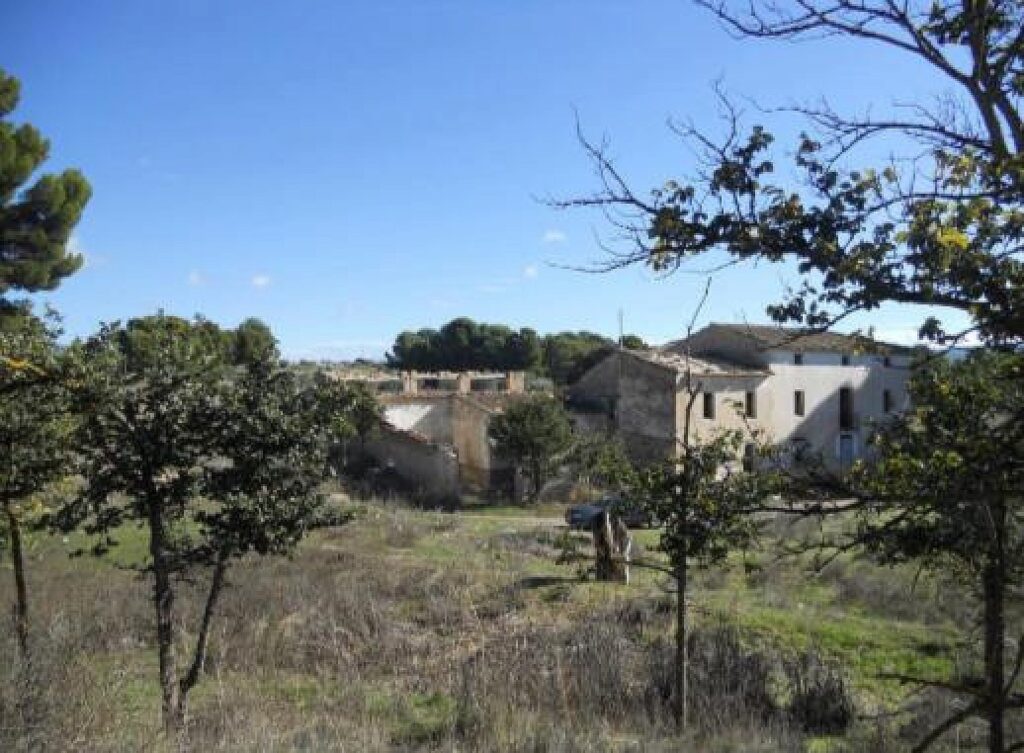 Plot for Sales in castalla