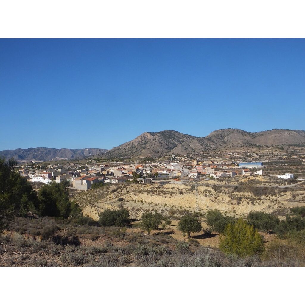 Plot for Sales in abanilla