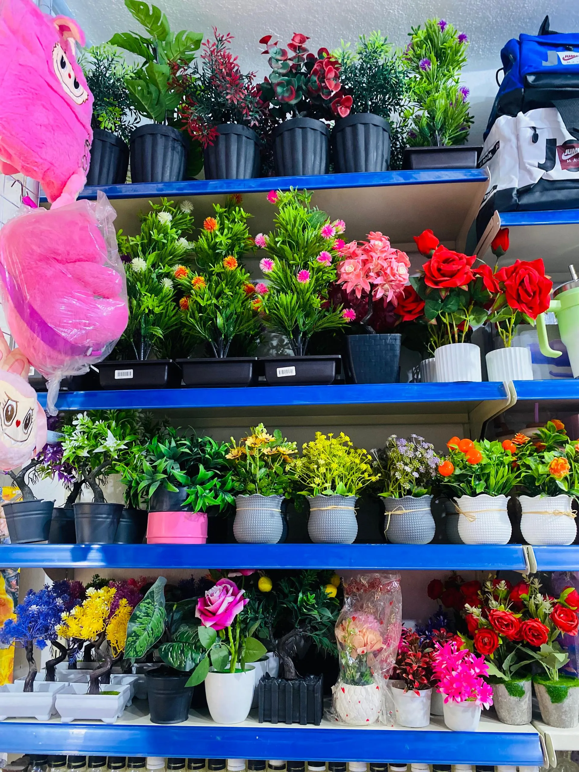 ورد زرعات مشكله