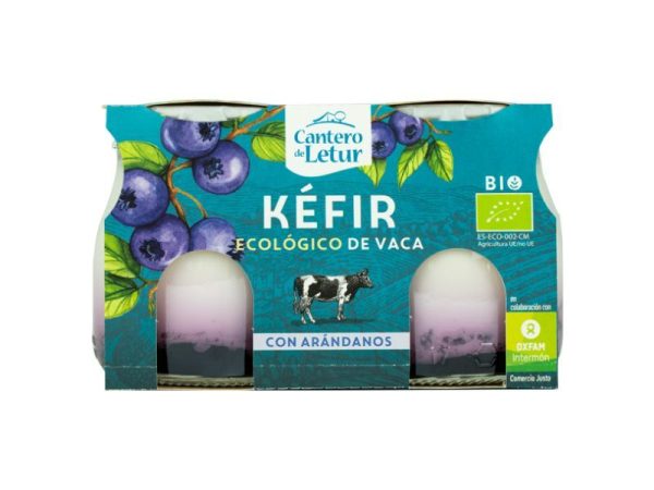 REFRIG KEFIR DE VACA CON ARANDANOS BIO 2X125g