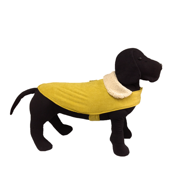 OFERTA MI&DOG ABRIGO AVIADOR PANA MOSTAZA (T-25)