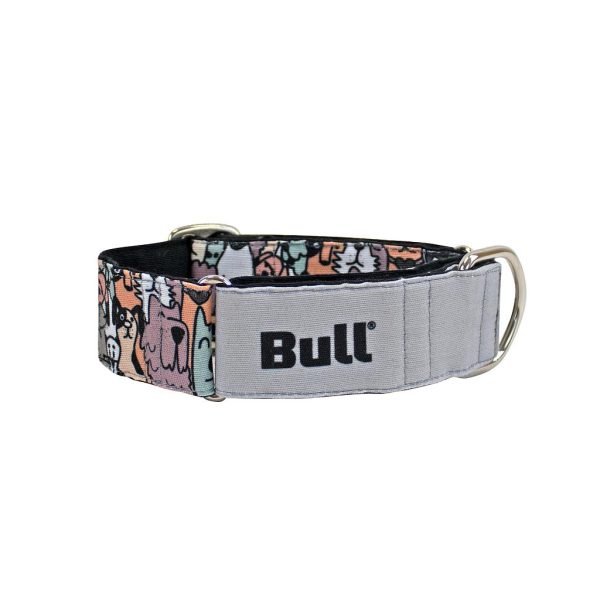 BULL COLLAR GALGO CLUB DOG (T-L  35-65 CM APROX)