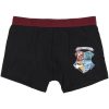 PACK BOXER 2 PIEZAS HARRY POTTER MULTICOLOR - Image 2