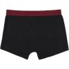 PACK BOXER 2 PIEZAS HARRY POTTER MULTICOLOR - Image 3