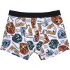 PACK BOXER 2 PIEZAS HARRY POTTER MULTICOLOR - Image 4