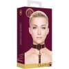 OUCH HALO - COLLAR WITH LEASH - BURDEOS - Image 2