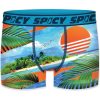 XL SET 4 BOXERS SPICY - Image 4
