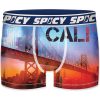 XL SET 4 BOXERS SPICY - Image 5