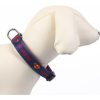 COLLAR PREMIUM PARA PERROS S/M DC PETS BLUE - Image 3
