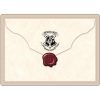 JUGUETE PARA PERRO HARRY POTTER HOGWARTS