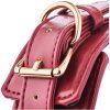 BLAZE ELITE COLLAR AND LEASH RED - Image 3