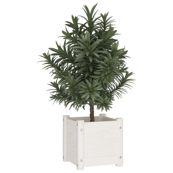 Vasos/floreiras de jardim 2 pcs 31x31x31 cm pinho maciço branco - Image 3