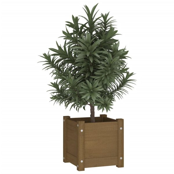 Vaso/floreira de jardim 31x31x31 cm pinho maciço castanho-mel - Image 3