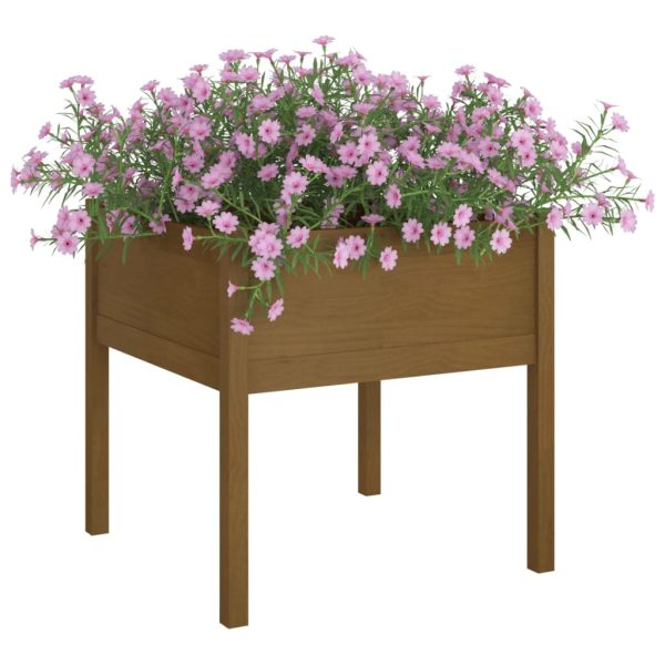 Vaso/floreira jardim 2 pcs 70x70x70cm pinho maciço castanho mel - Image 3