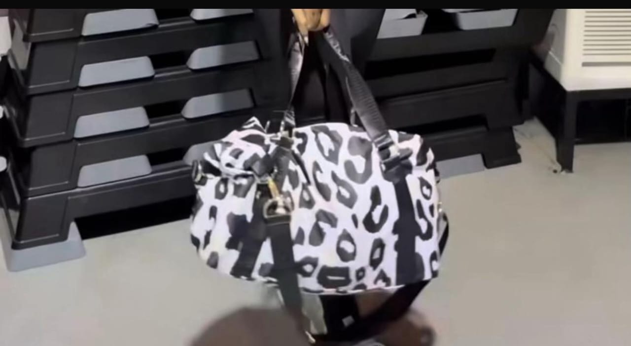 Travelling Bag photo 3