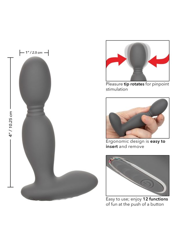 SONDA ROTATORA EXOTICS DA CALIFÓRNIA - Image 4