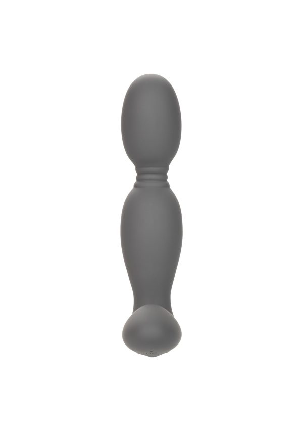 SONDA ROTATORA EXOTICS DA CALIFÓRNIA - Image 9