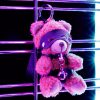 PORTA CHAVES URSO CRUSHITO COM GUIZO CRUSHIOUS - Image 9
