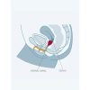 FUN FACTORY - FUN CUP SINGLE SIZE B GRAPE - Image 5