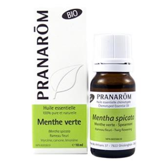 HIERBABUENA óleo essencial 10ml. BIO