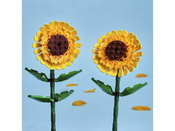 GIRASOLES - Image 6