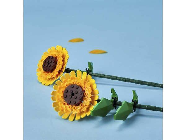 GIRASOLES - Image 7